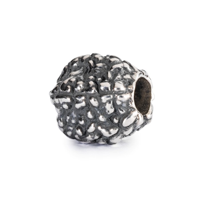 Tears of Shiva Bead