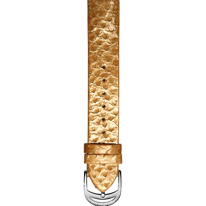 Philip Stein Glamour Gold Python Watch Band