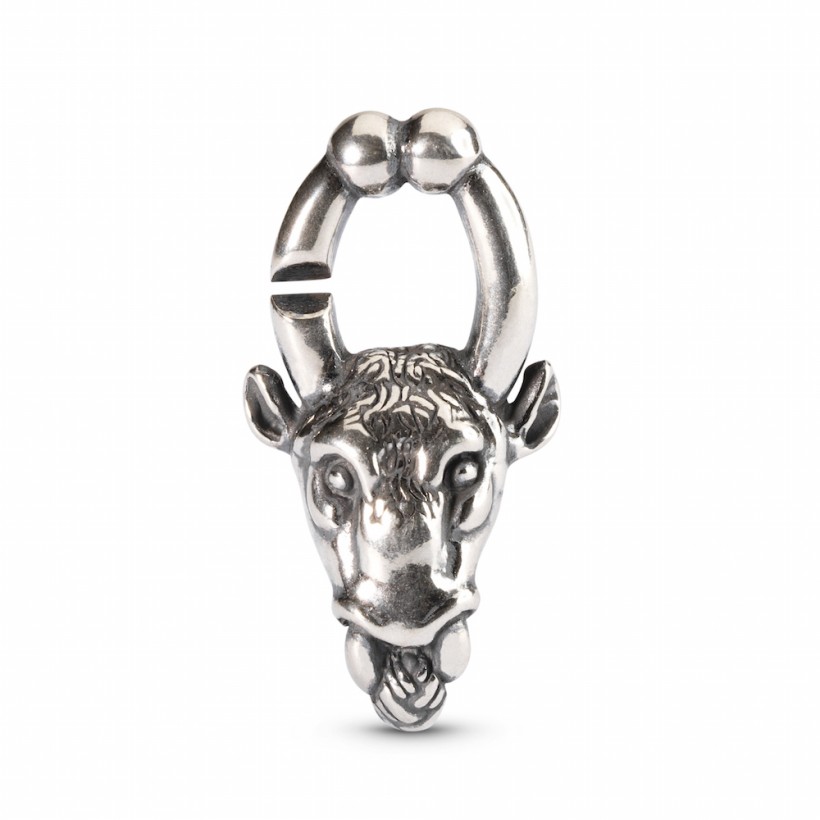 Taurus 