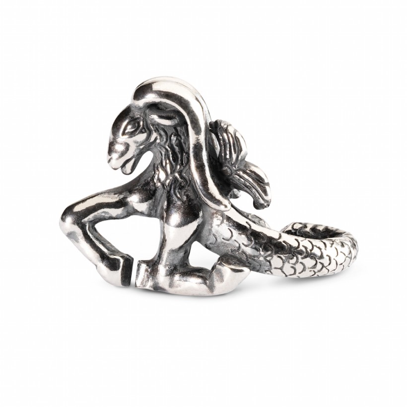 Capricorn 