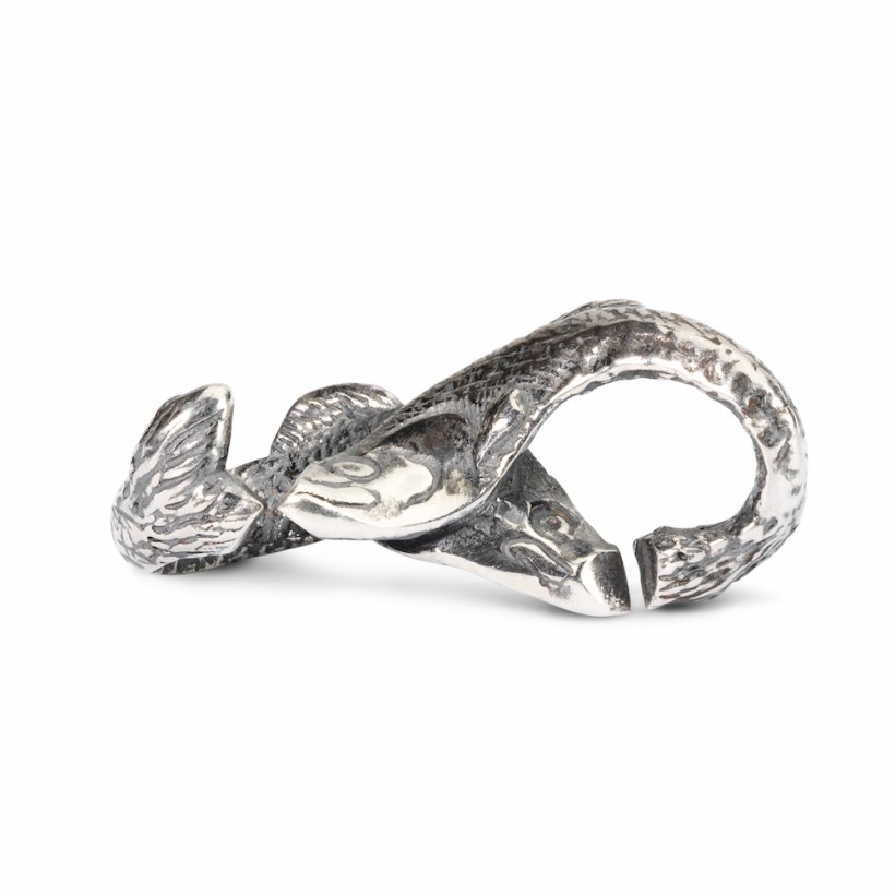 Pisces 