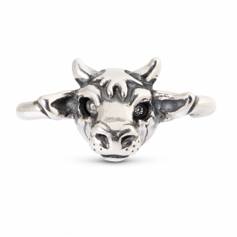 Ox 