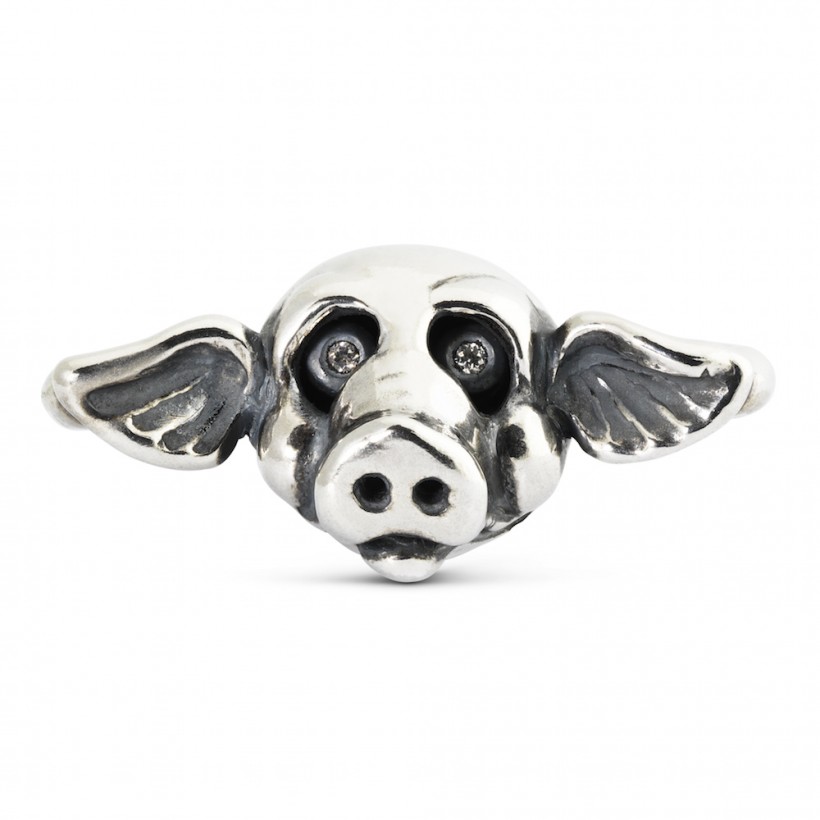 Pig 