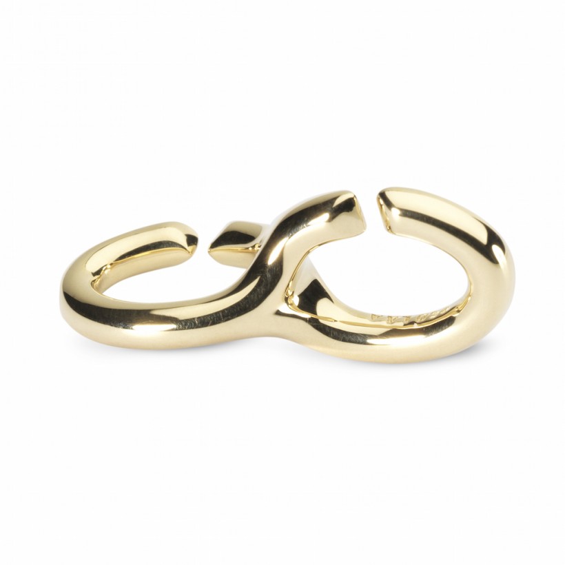 Double Gold Link 