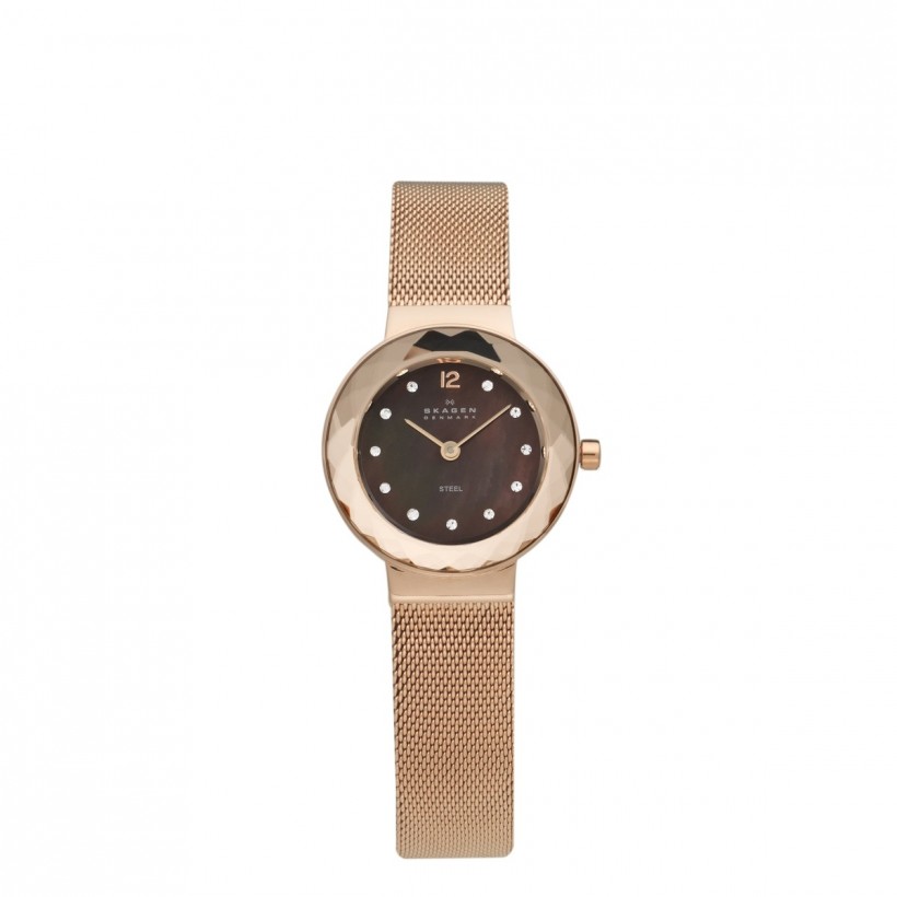 Skagen Leonora Stainless Steel Case Women's Watch 456SRR1
