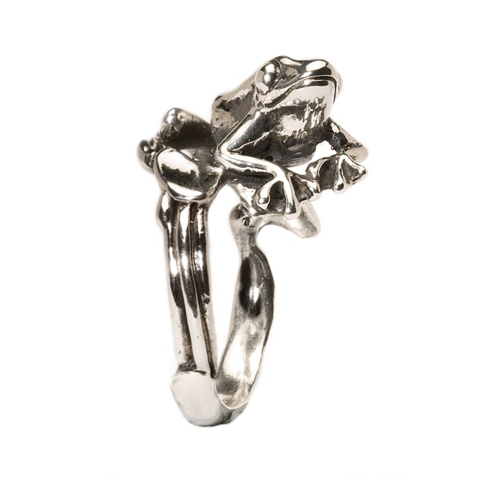 Tree Frog size 6 1/2