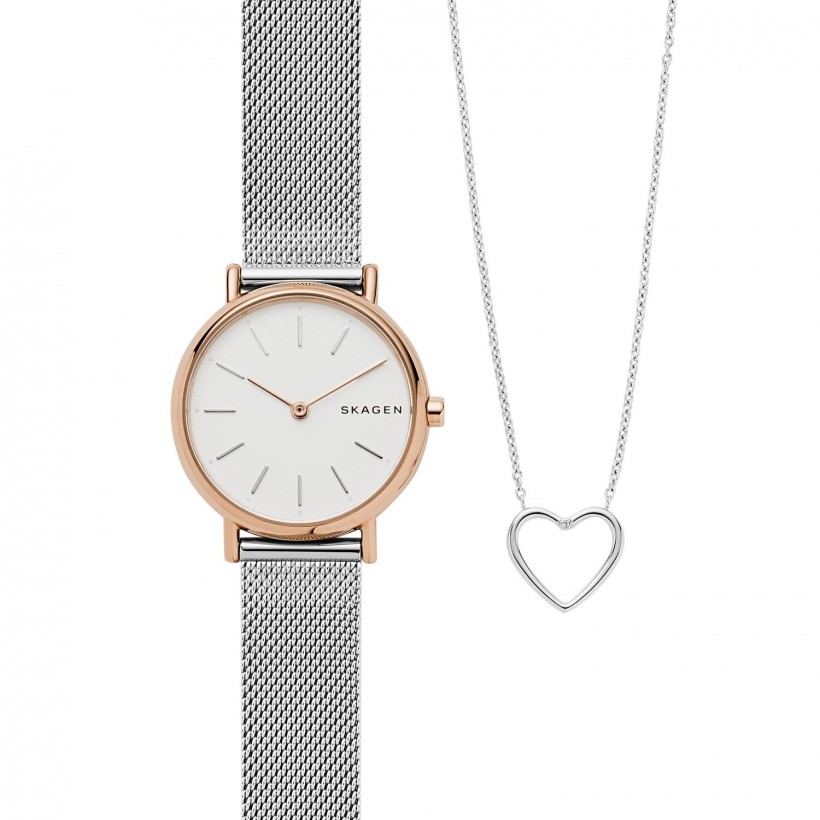 Skagen Signatur Stainless Steel Case Women's Watch SKW1106