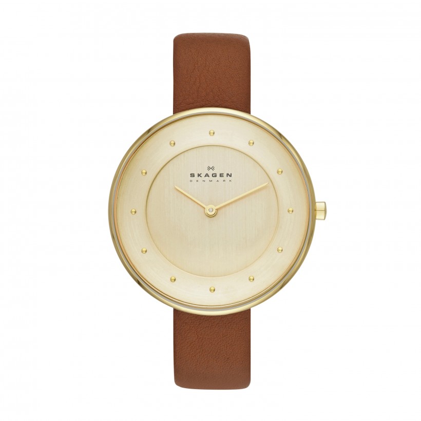 Skagen Gitte Stainless Steel Leather Women's Watch