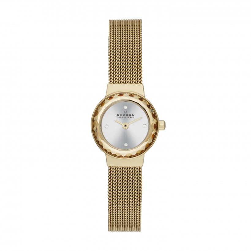 Skagen Leonora Stainless Steel Mesh Women's Watch
