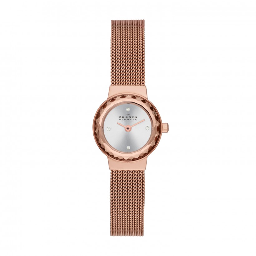 Skagen Leonora Stainless Steel Mesh Women's Watch
