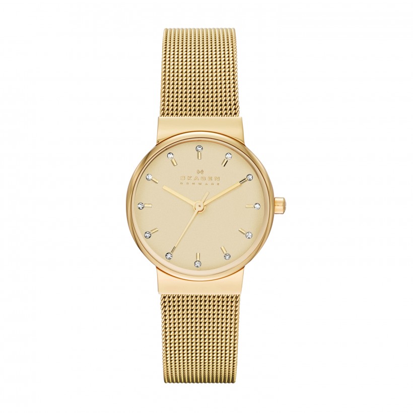 Skagen Ancher Stainless Steel Mesh Women's Watch