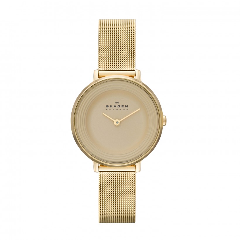 Skagen Ditte Stainless Steel Mesh Women's Watch
