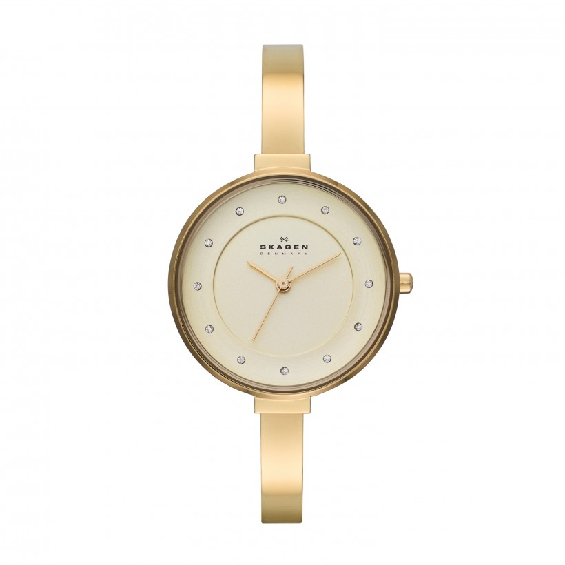 Skagen Gitte Stainless Steel Women's Watch