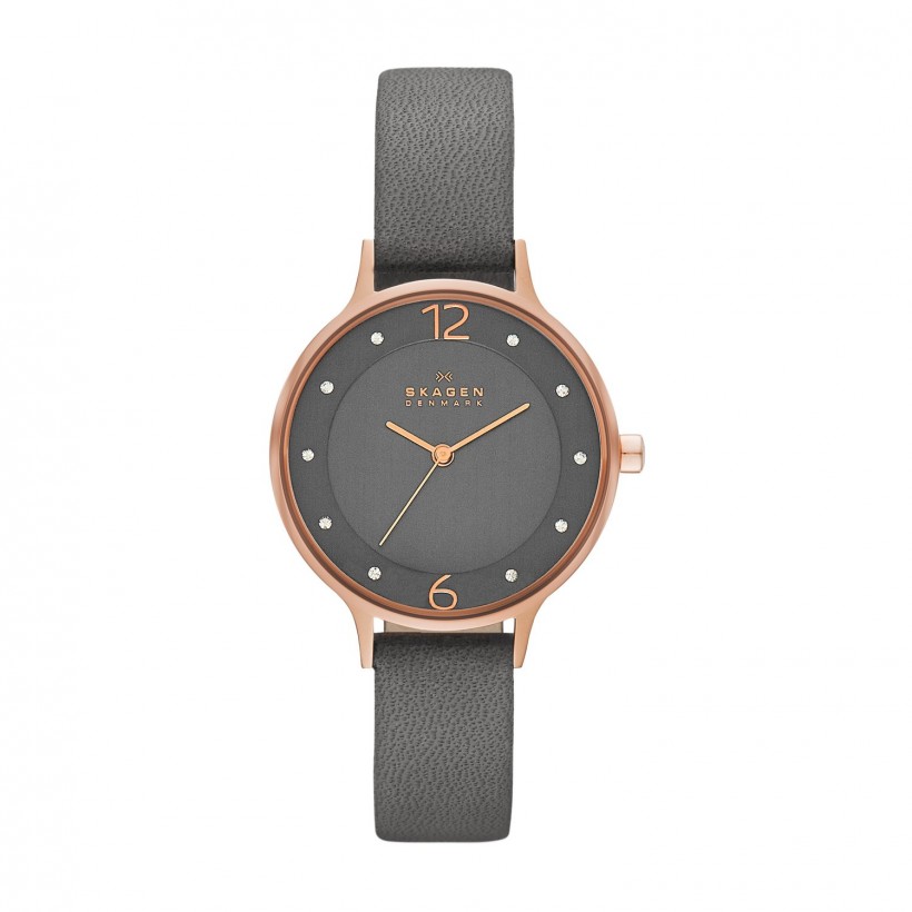 Skagen skw2267 best sale