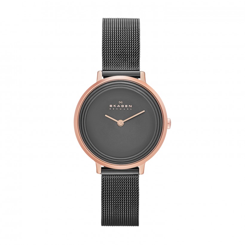 Skagen Ditte Stainless Steel Mesh Women's Watch