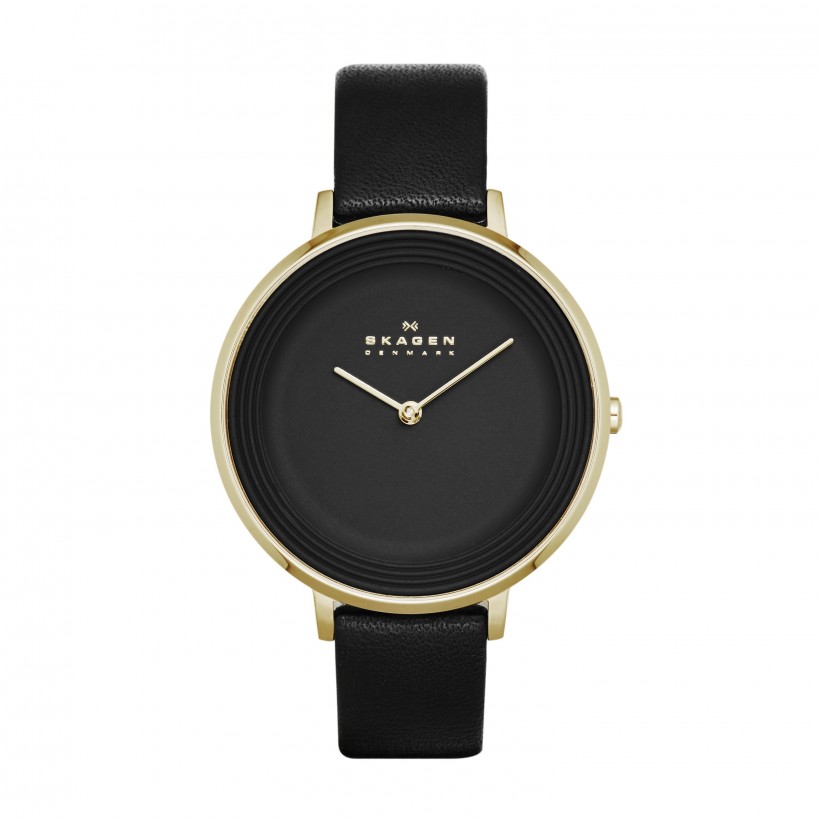 Skagen Ditte Stainless Steel Leather Women's Watch