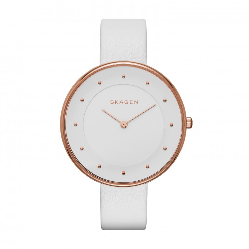 Skagen Gitte Stainless Steel Leather Women's Watch