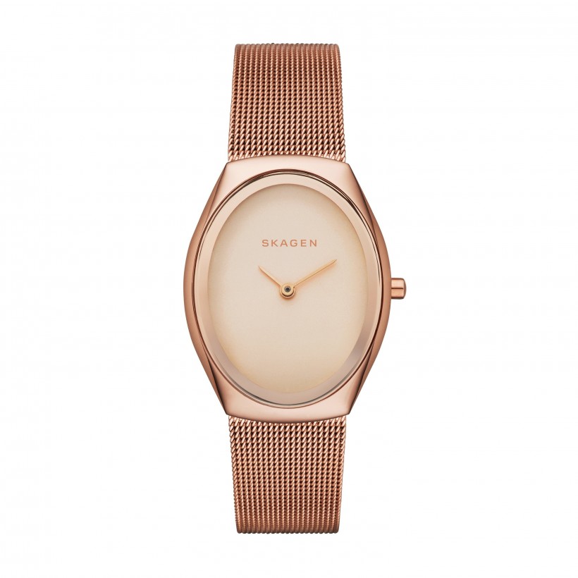 Skagen Madsen Stainless Steel Mesh Band Stainless Steel Women's Watch