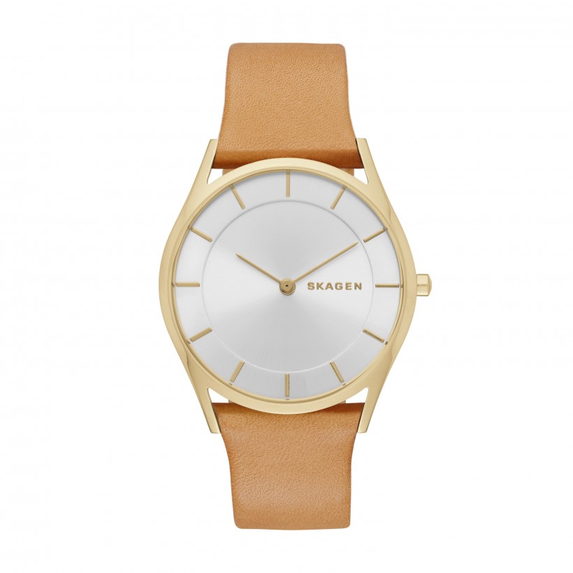 Skagen Holst Leather Band Stainless Steel Women's Watch