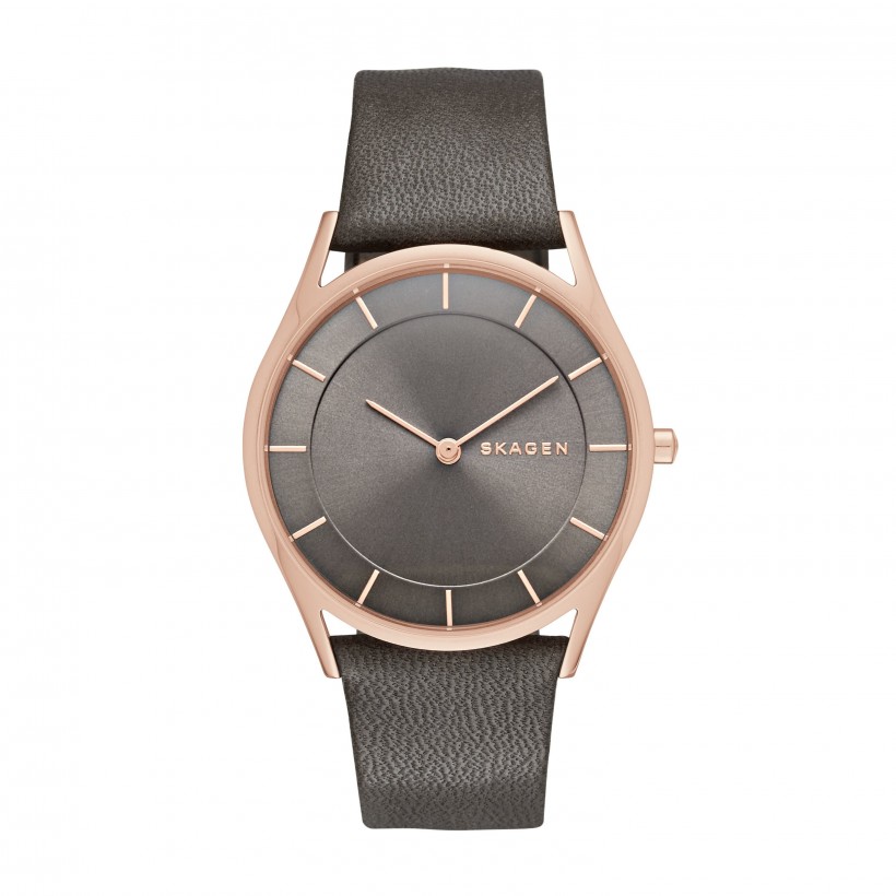 Skagen Holst Leather Band Stainless Steel Women's Watch