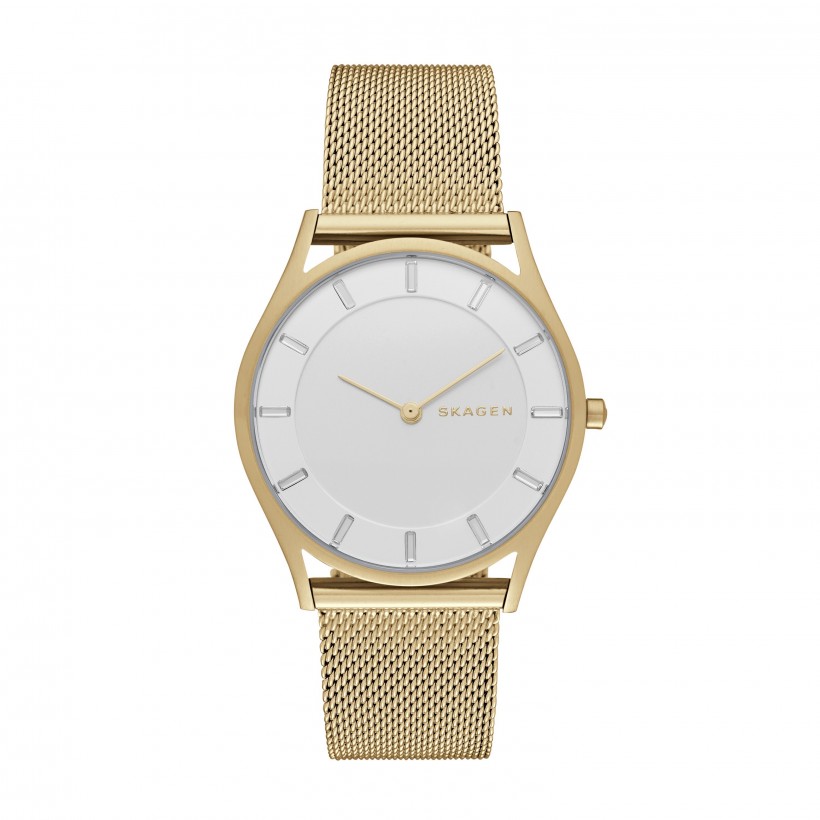 Skagen Holst Stainless Steel Mesh Band Stainless Steel Women's Watch