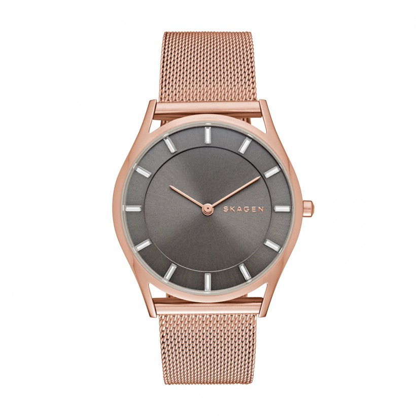 Skagen Holst Stainless Steel Mesh Band Stainless Steel Women's Watch