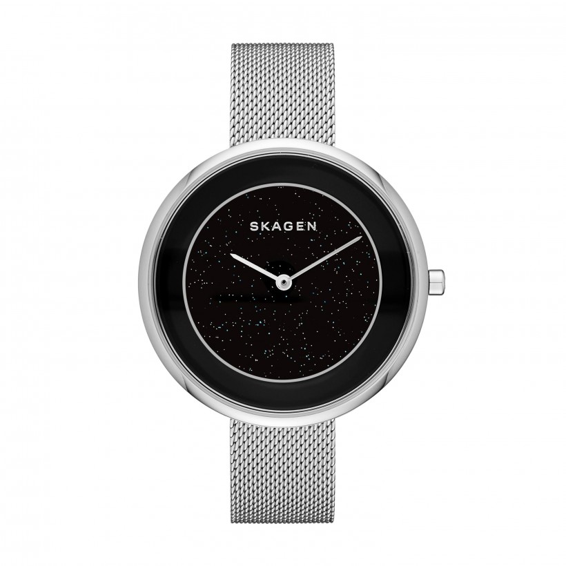 Skagen Gitte Stainless Steel Mesh Band Stainless Steel Women's Watch