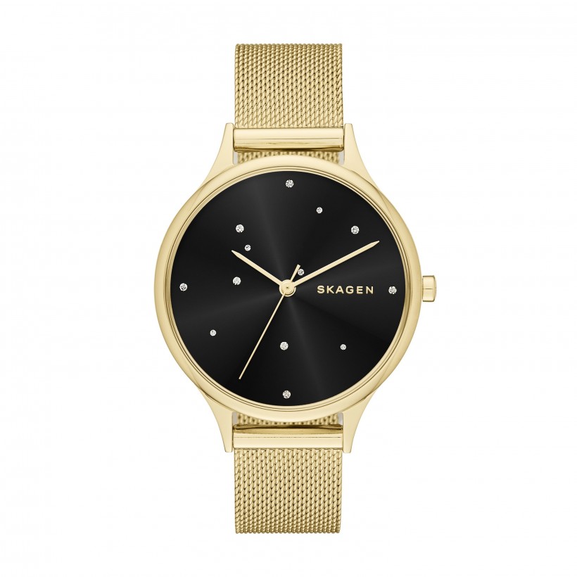 Skagen Anita Stainless Steel Mesh Band Stainless Steel Women's Watch