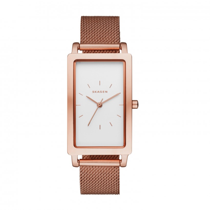 Skagen Hagen Stainless Steel Band Stainless Steel Women's Watch