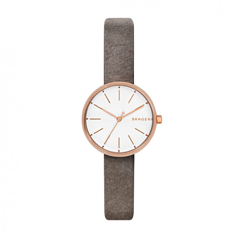 Skagen Signatur Stainless Steel Case Women's Watch SKW2644