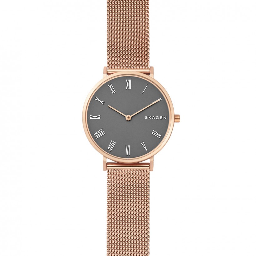 Skagen Hald Stainless Steel Case Women's Watch SKW2675