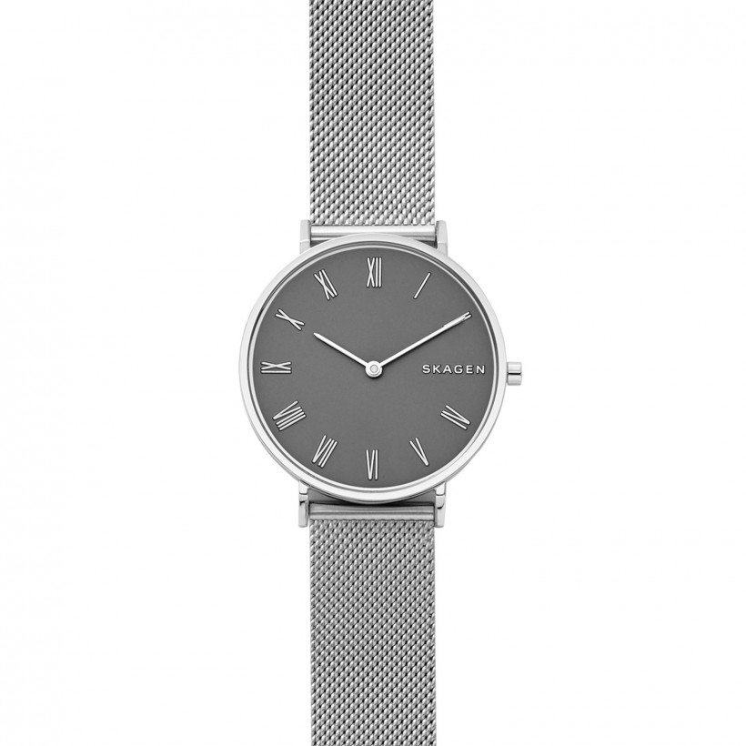 Skagen Hald Stainless Steel Case Women's Watch SKW2677