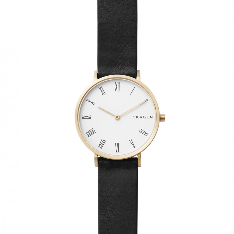 Skagen Hald Stainless Steel Case Women's Watch SKW2678