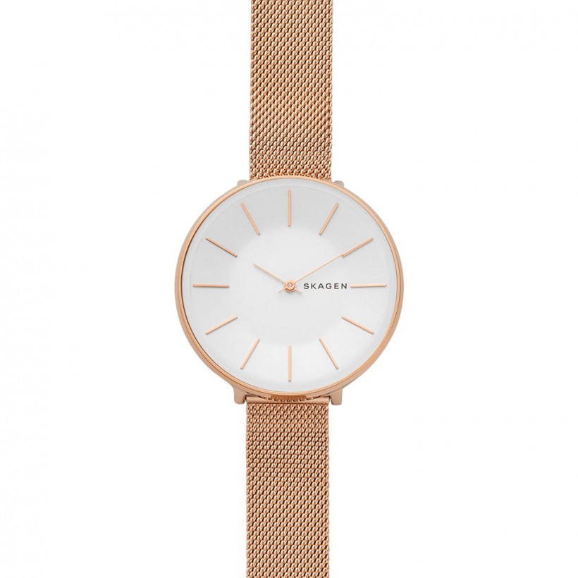 Skagen Karolina Stainless Steel Case Women's Watch SKW2688
