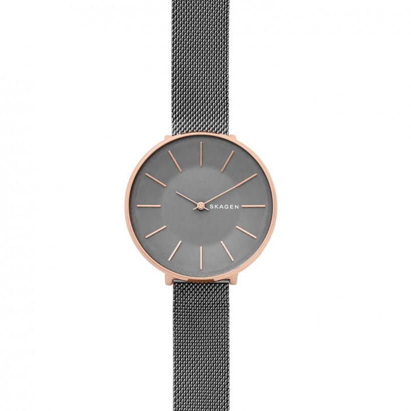 Skagen Karolina Stainless Steel Case Women's Watch SKW2689