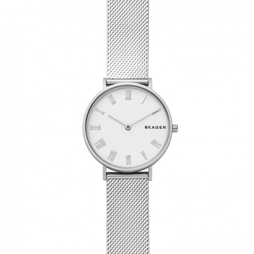 Skagen Hald Stainless Steel Case Women's Watch SKW2712