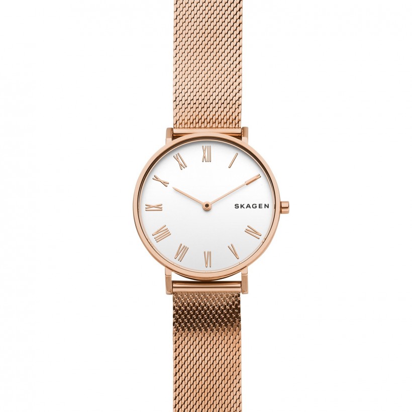 Skagen Hald Stainless Steel Case Women's Watch SKW2714