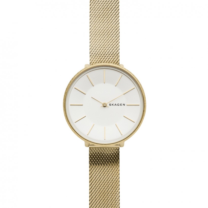 Skagen Karolina Stainless Steel Case Women's Watch SKW2722