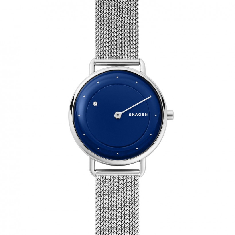 Skagen Horizont Stainless Steel Case Women's Watch SKW2738