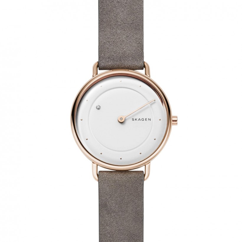 Skagen Horizont Stainless Steel Case Women's Watch SKW2739
