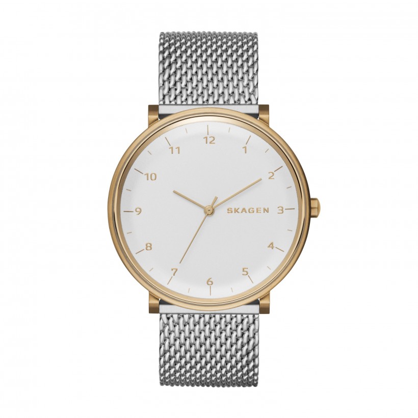 Skagen Hald Stainless Steel Mesh Band Stainless Steel Men's Watch