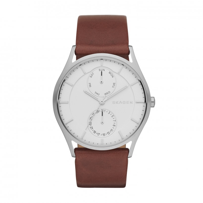 Skagen Holst Stainless Steel Leather