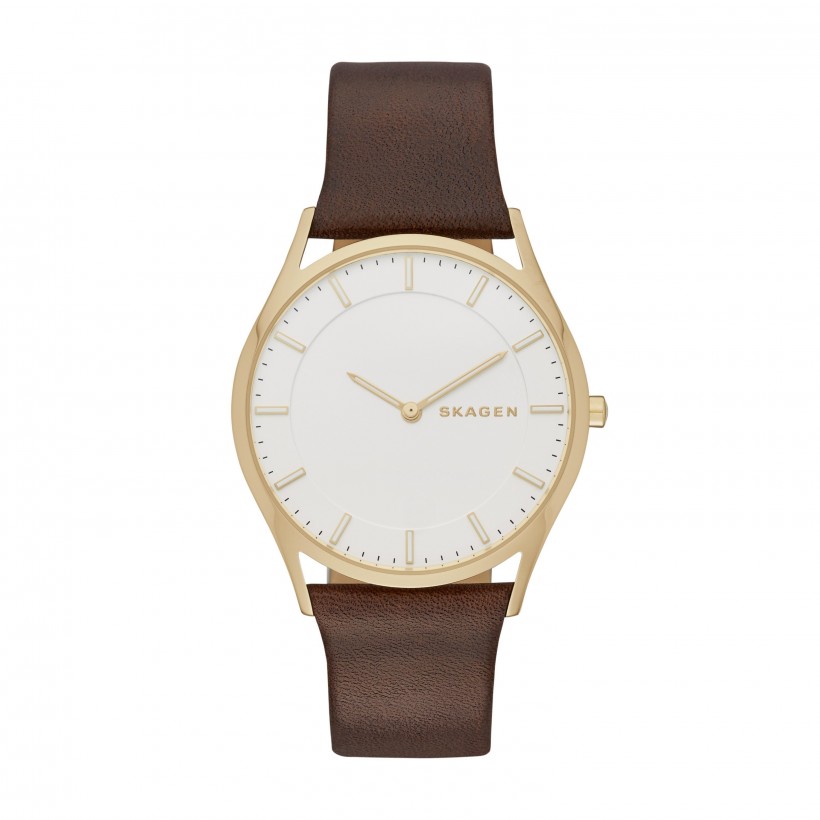 Skagen Holst Leather Band Stainless Steel Men's Watch