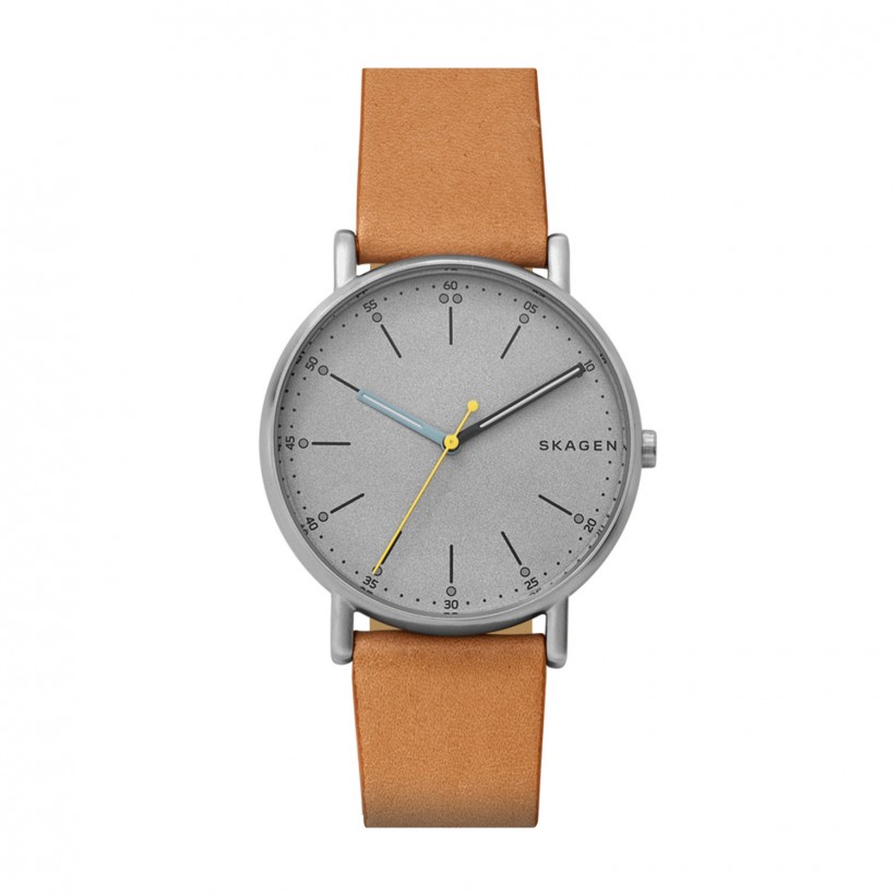 Skagen Signatur Stainless Steel Case Men's Watch SKW6373