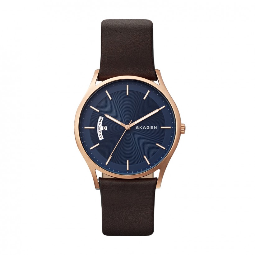 Skagen Holst Stainless Steel Case Men's Watch SKW6395