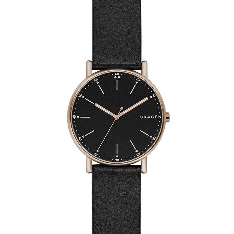 Skagen Signatur Stainless Steel Case Men's Watch SKW6401