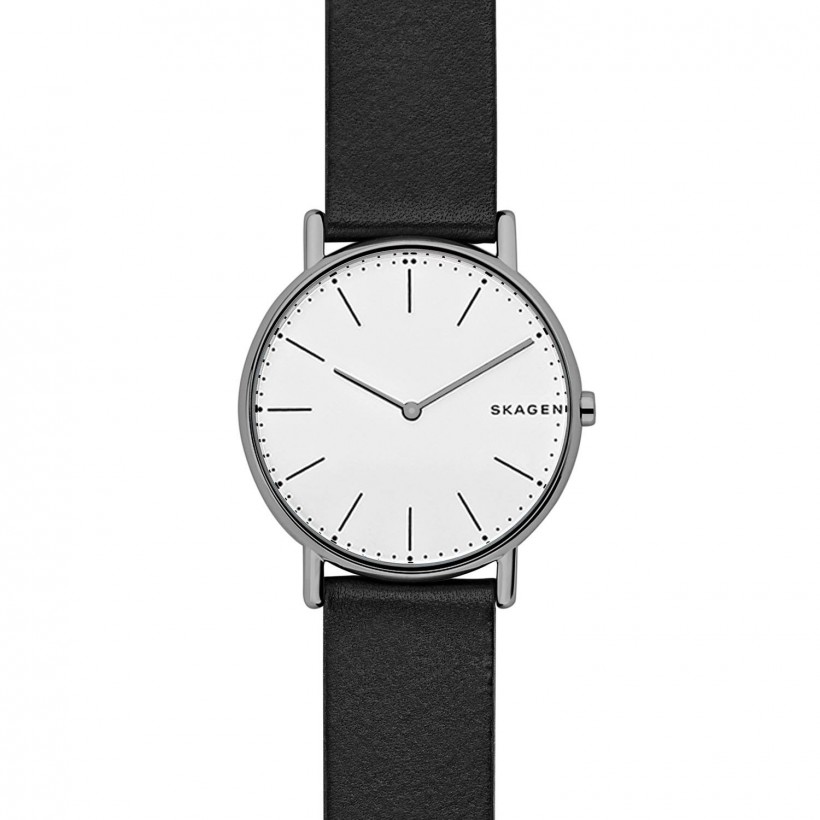 Skagen Signatur Titanium Case Men's Watch SKW6419