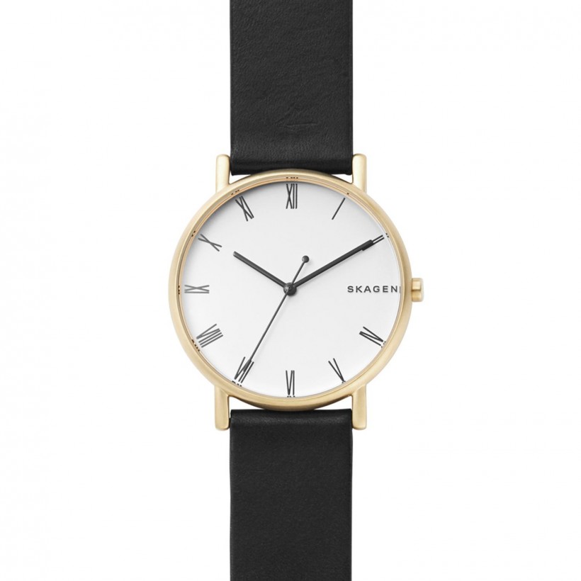 Skagen Signatur Stainless Steel Case Men's Watch SKW6426