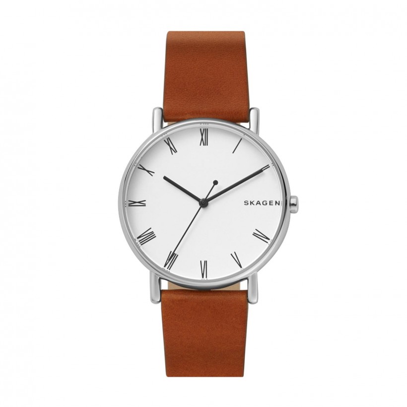 Skagen Signatur Stainless Steel Case Men's Watch SKW6427