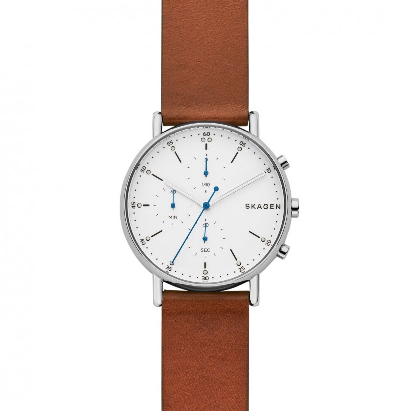 Skagen Signatur Stainless Steel Case Men's Watch SKW6462